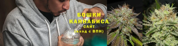 стаф Богородск
