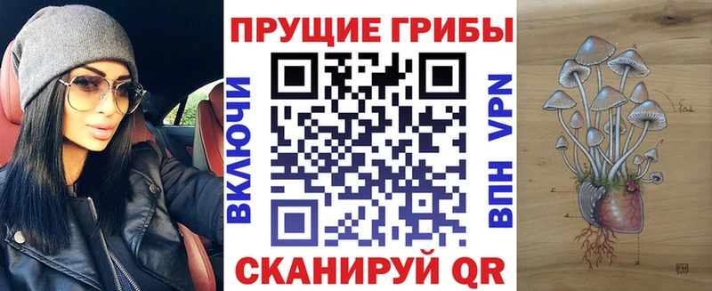 Псилоцибиновые грибы Cubensis  маркетплейс телеграм  Норильск 